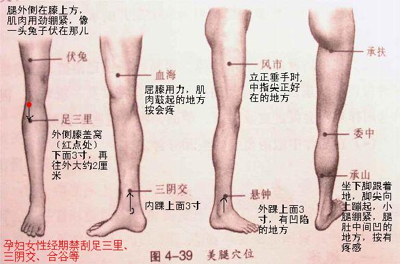 教你如何使用刮痧按摩器 详谈刮痧按摩的方法